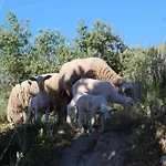 Κατάλυμα σε φάρμα Casa Da Carrica - Serra Da Estrela Γκουάρντα