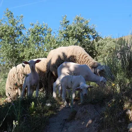 Vakantieboerderij Casa Da Carrica - Serra Da Estrela Guarda